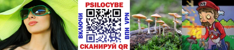 гидра онион  продажа наркотиков  Сычёвка  Псилоцибиновые грибы Psilocybe 